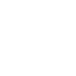 图标